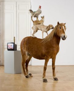 Sztuka współczesna, Katarzyna Kozyra, ,,Piramida zwierząt’’ , 1993, Zachęta Narodowa Galeria Sztuki